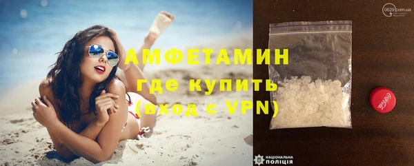 PSILOCYBIN Волосово