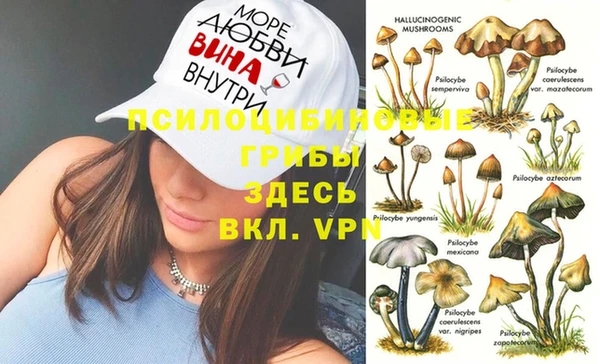 эйфоретик Волоколамск