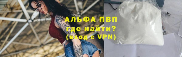 PSILOCYBIN Волосово
