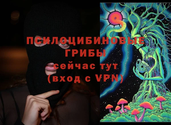 PSILOCYBIN Волосово