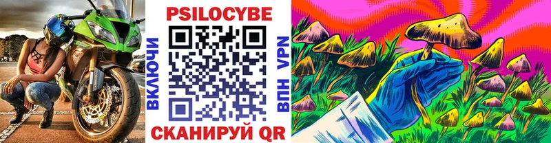 продажа наркотиков Медногорск Псилоцибиновые грибы Magic Shrooms