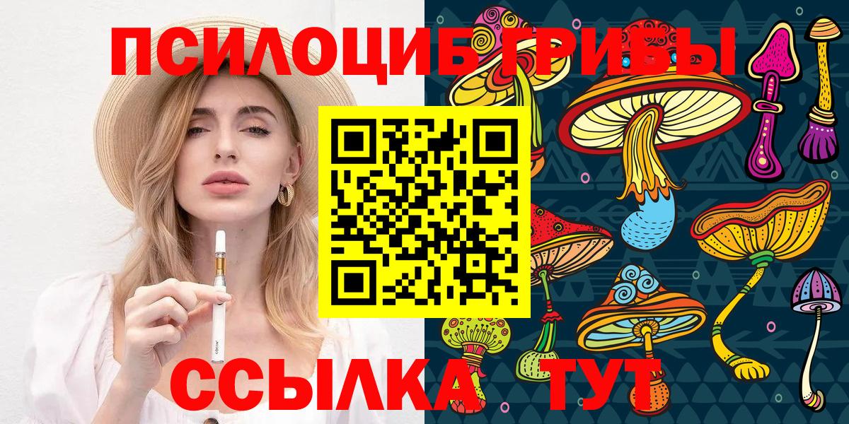 Медногорск  цена   Вход с VPN  Галлюциногенные грибы MAGIC MUSHROOMS 